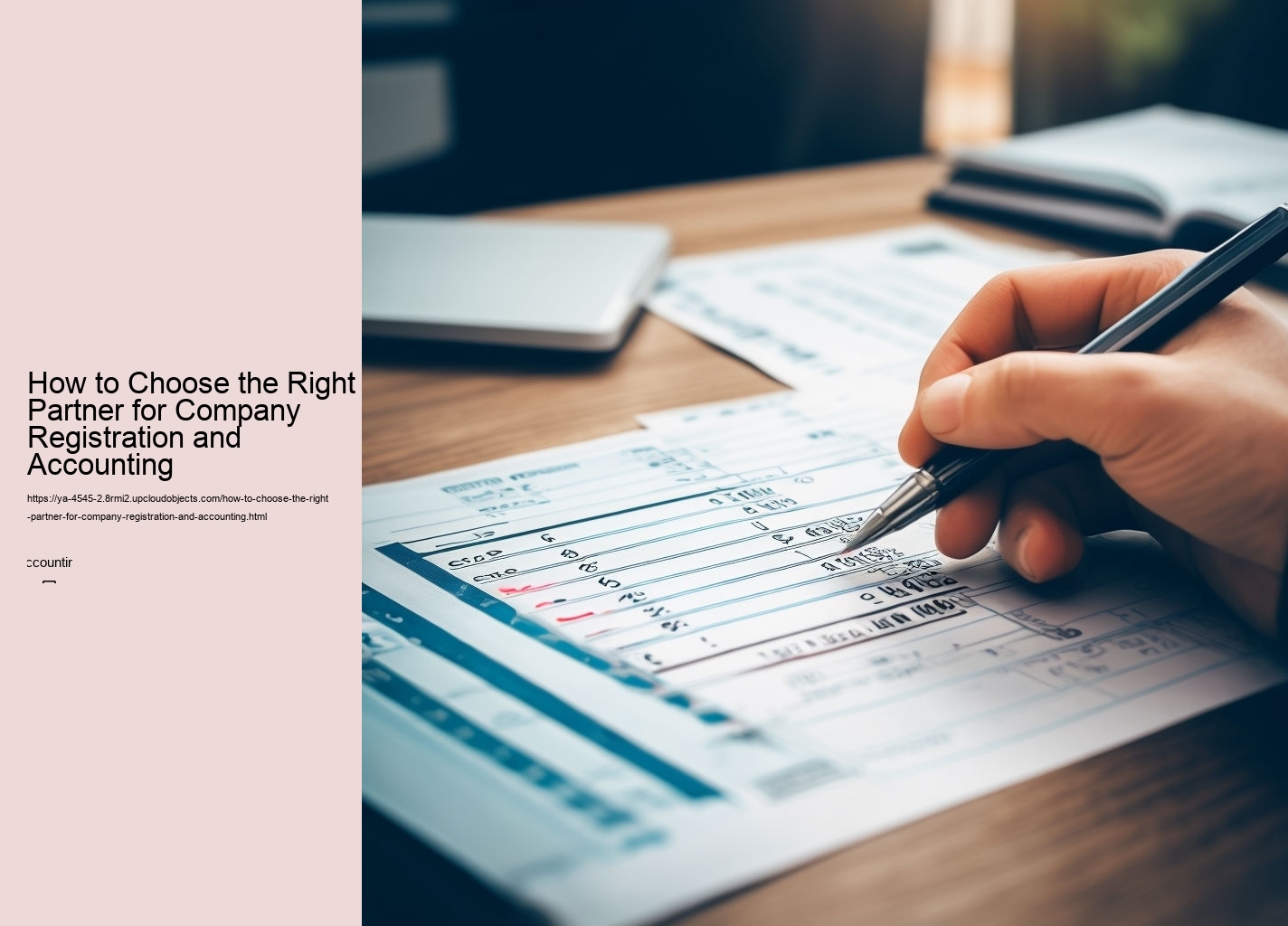 How to Choose the Right Partner for Company Registration and Accounting